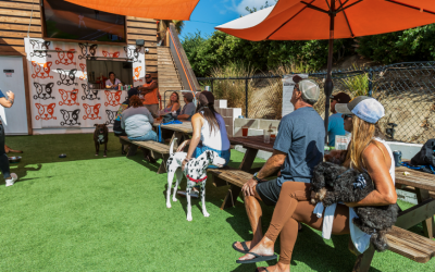 Host Your Next Dog-Friendly Private Event at The Dog Society in San Diego!